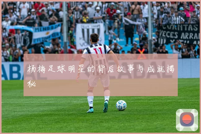 杨梅足球明星的背后故事与成就揭秘