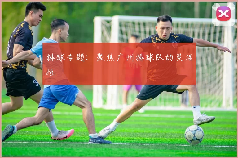 排球专题：聚焦广州排球队的灵活性