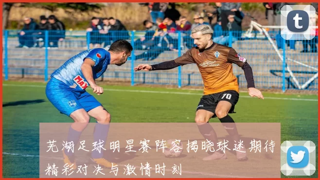 芜湖足球明星赛阵容揭晓球迷期待精彩对决与激情时刻