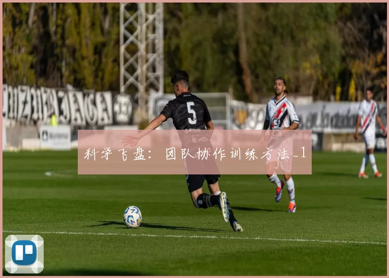 科学飞盘：团队协作训练方法_1