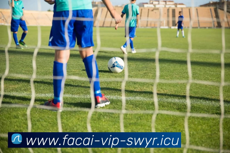 开云体育平台生态图